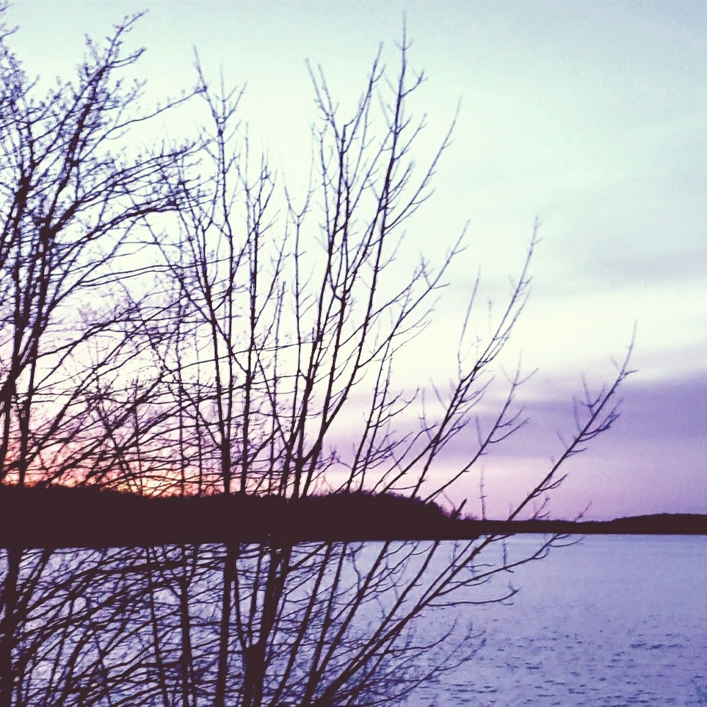 Meet your Posher, Jayme